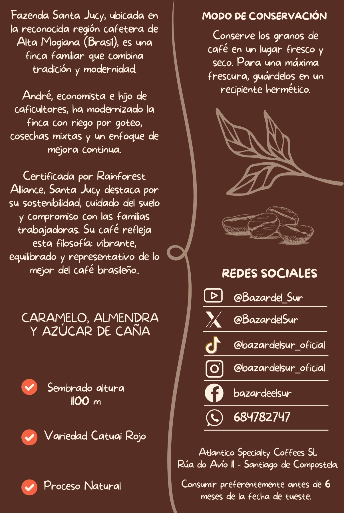 Café de especialidad Brasil